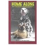 Home Alone Tools to Help Pets Overcome Separation Anxiety