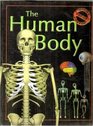 The Human Body  Giant Poster PopUp