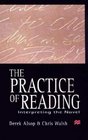 The Practice of Reading  Interpreting the Novel
