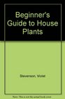 Beginner's Guide to House Plants