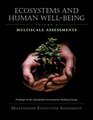 Ecosystems and Human WellBeing Multiscale Assessments Findings of the SubGlobal Assessments Working Group