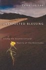 Unexpected Blessing Living the Countercultural Reality of the Beatitudes