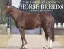 Ultimate Guide to Horse Breeds