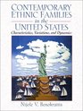 Contemporary Ethnic Families in the United States Characteristics Variations and Dynamics