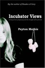 Incubator Views  A Story of Teen Pregnancy and the Struggle of her Preemie