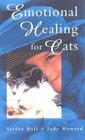 Emotional Healing For Cats