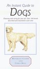 Instant Guide to Dogs