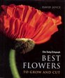 Best Flowers to Grow and Cut
