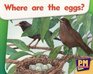 PM Starters: Can You See the Eggs?