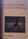 Essentials of Human Anatomy  Physiology