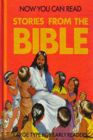 Now You Can Read Stories from the Bible (Large Print)