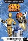 Star Wars Rebels Droids in Distress
