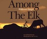 Among the Elk Wilderness Images