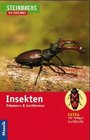 Insekten Erkennen und bestimmen