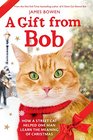 A Gift from Bob How a Street Cat Helped One Man Learn the Meaning of Christmas