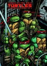 Teenage Mutant Ninja Turtles The Ultimate Collection Volume 4