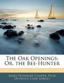 The Oak Openings Or the BeeHunter