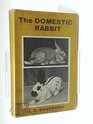 The domestic rabbit