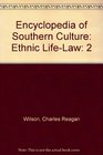 Encyclopedia of Southern Culture Vol 2