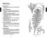 Identifying Ferns the Easy Way A Pocket Guide to Common Ferns of the Northeast