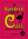 Daredevil Book for Cats