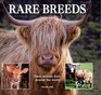 Rare Breeds Farm Animals from Around the World