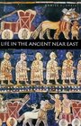 Life in the Ancient Near East 3100332 BCE
