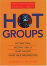 Hot Groups  Seeding Them Feeding Them and Using Them to Ignite Your Organization