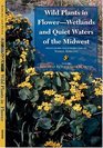 Wild Plants In FlowerWetlands And Quiet Waters Of The Midwest