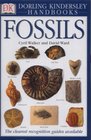 Fossils (DK Handbooks)