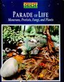 Parade of Life Monerans Protists Fungi and Plants