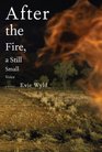After the Fire a Still Small Voice A Novel