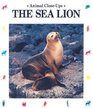 The Sea Lion Ocean Diver