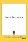 Insect Adventures