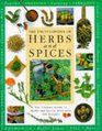 Herbs and Spices Encyclopaedia (Encyclopedia)
