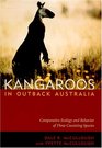 Kangaroos in Outback Australia