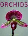 Orchids A Practical Guide to Care and Cultivation
