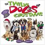 12 Dogs of Christmas