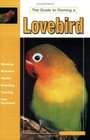 The Guide to Owning a Lovebird