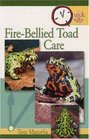 Quick  Easy FireBellied Toad Care