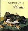 Audubon's Birds