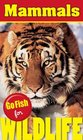 Go Fish for Wildlife Mammals