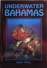 Underwater Bahamas