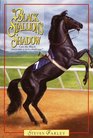 The Black Stallion's Shadow (Black Stallion, Bk 21)