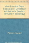 View from the Boys A Sociology of DownTown Adolescents