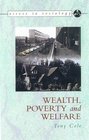 Wealth Income and Welfare
