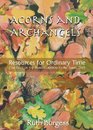 Acorns and Archangels Resources for Ordinary Time  the Feast of the Transfiguration to All Hallows'