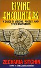 Divine Encounters A Guide to Visions Angels and Other Emissaries