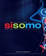 Sisomo The Future on Screen Creating Emotional Connections in the Market with Sight Sound and Motion