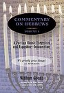 Commentary on Hebrews Volumes 1  2 Hardcover